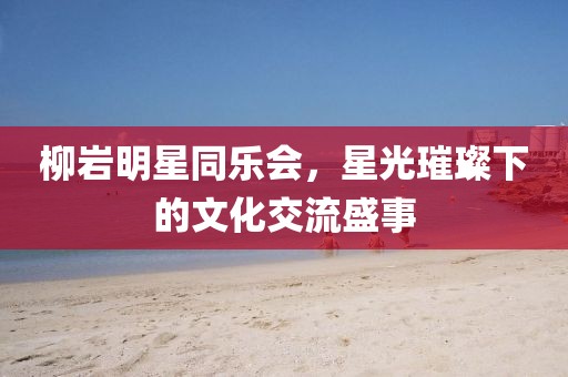 柳岩明星同乐会，星光璀璨下的文化交流盛事