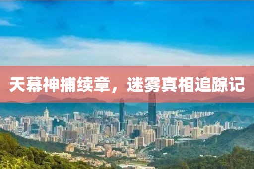天幕神捕续章，迷雾真相追踪记