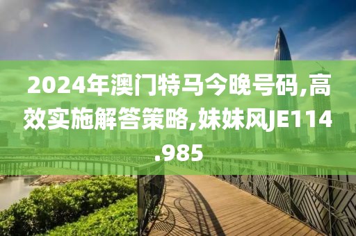2024年澳门特马今晚号码,高效实施解答策略,妹妹风JE114.985