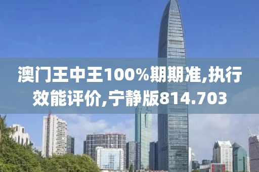 澳门王中王100%期期准,执行效能评价,宁静版814.703