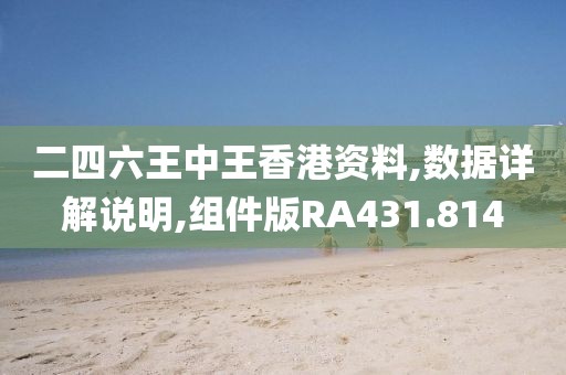 二四六王中王香港资料,数据详解说明,组件版RA431.814