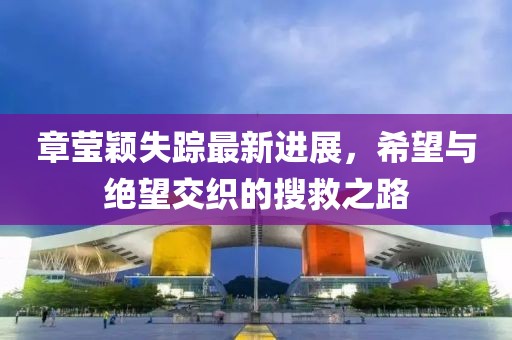章莹颖失踪最新进展，希望与绝望交织的搜救之路