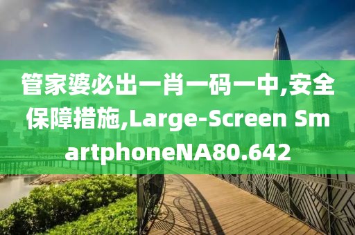 管家婆必出一肖一码一中,安全保障措施,Large-Screen SmartphoneNA80.642