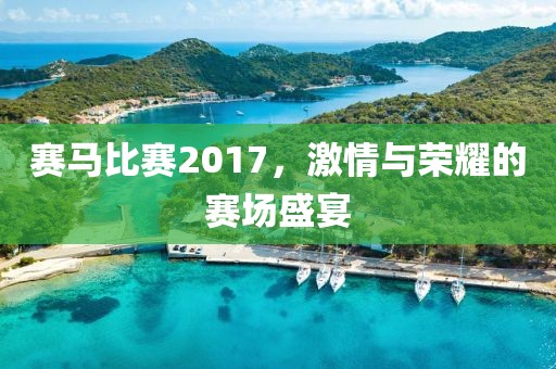 赛马比赛2017，激情与荣耀的赛场盛宴