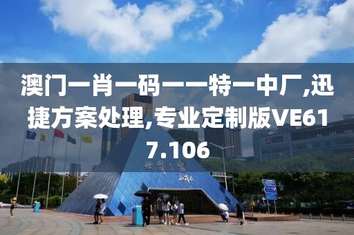 澳门一肖一码一一特一中厂,迅捷方案处理,专业定制版VE617.106