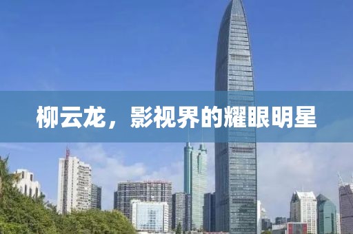 柳云龙，影视界的耀眼明星