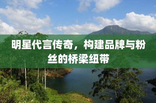 明星代言传奇，构建品牌与粉丝的桥梁纽带