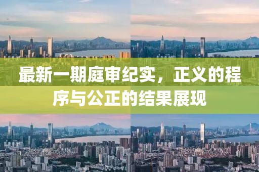 最新一期庭审纪实，正义的程序与公正的结果展现