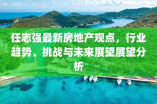 任志强最新房地产观点，行业趋势、挑战与未来展望展望分析