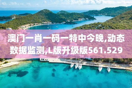 澳门一肖一码一特中今晚,动态数据监测,L版升级版561.529
