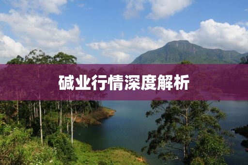 碱业行情深度解析