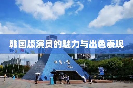 韩国版演员的魅力与出色表现