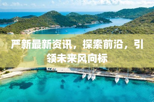 严新最新资讯，探索前沿，引领未来风向标