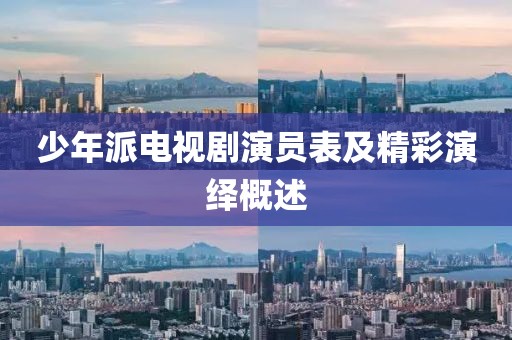 少年派电视剧演员表及精彩演绎概述