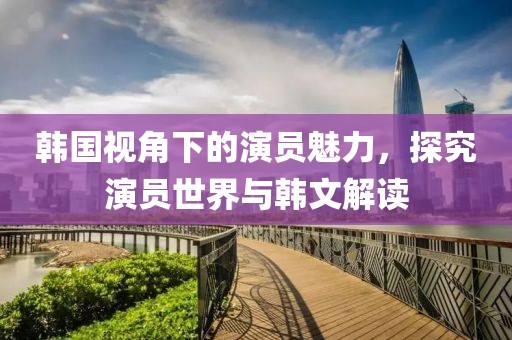 韩国视角下的演员魅力，探究演员世界与韩文解读