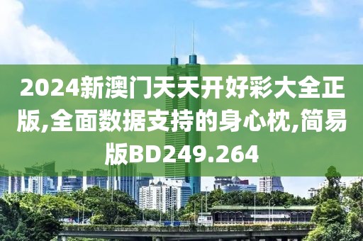 2024新澳门天天开好彩大全正版,全面数据支持的身心枕,简易版BD249.264
