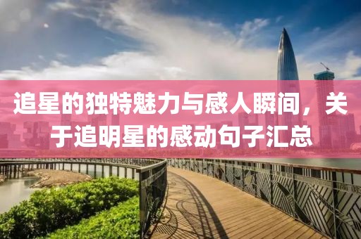 追星的独特魅力与感人瞬间，关于追明星的感动句子汇总