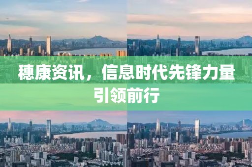 穗康资讯，信息时代先锋力量引领前行