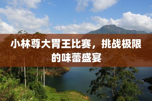 小林尊大胃王比赛，挑战极限的味蕾盛宴
