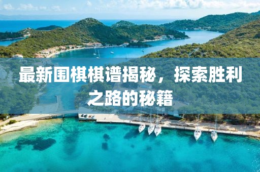 最新围棋棋谱揭秘，探索胜利之路的秘籍