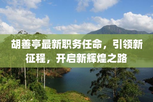 胡善亭最新职务任命，引领新征程，开启新辉煌之路