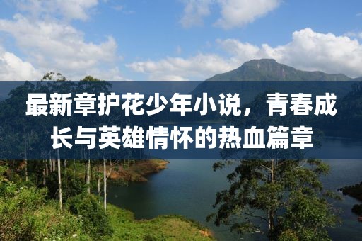 最新章护花少年小说，青春成长与英雄情怀的热血篇章