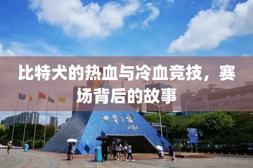 比特犬的热血与冷血竞技，赛场背后的故事