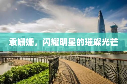 袁姗姗，闪耀明星的璀璨光芒