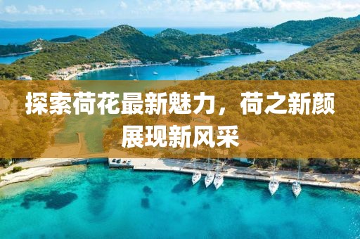 探索荷花最新魅力，荷之新颜展现新风采