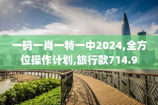 一码一肖一特一中2024,全方位操作计划,旅行款714.9