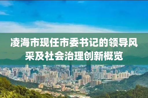 凌海市现任市委书记的领导风采及社会治理创新概览