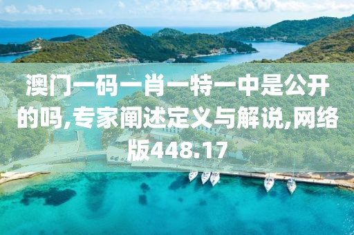 澳门一码一肖一特一中是公开的吗,专家阐述定义与解说,网络版448.17
