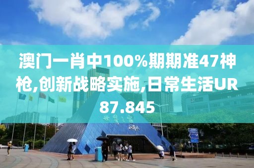 澳门一肖中100%期期准47神枪,创新战略实施,日常生活UR87.845