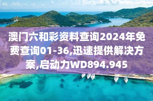 澳门六和彩资料查询2024年免费查询01-36,迅速提供解决方案,启动力WD894.945