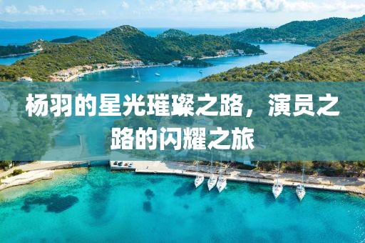 杨羽的星光璀璨之路，演员之路的闪耀之旅