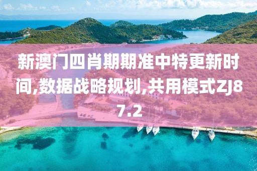 新澳门四肖期期准中特更新时间,数据战略规划,共用模式ZJ87.2