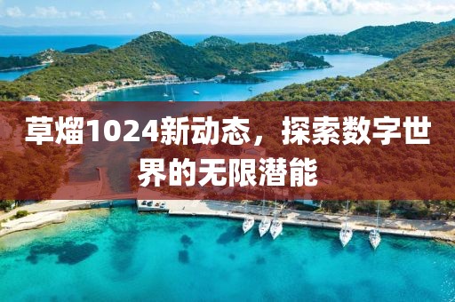 草熘1024新动态，探索数字世界的无限潜能
