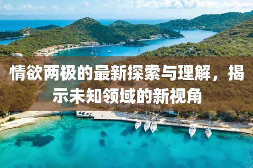 情欲两极的最新探索与理解，揭示未知领域的新视角