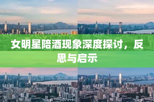 女明星陪酒现象深度探讨，反思与启示