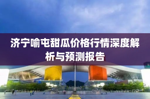 济宁喻屯甜瓜价格行情深度解析与预测报告