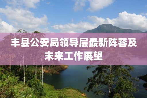 丰县公安局领导层最新阵容及未来工作展望