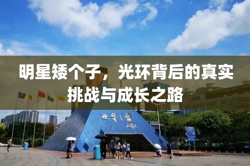 明星矮个子，光环背后的真实挑战与成长之路