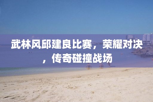武林风邱建良比赛，荣耀对决，传奇碰撞战场
