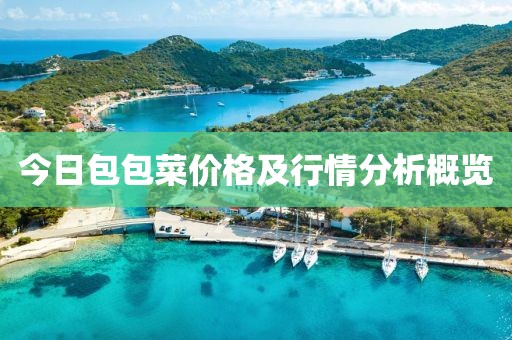今日包包菜价格及行情分析概览