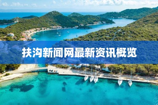 扶沟新闻网最新资讯概览