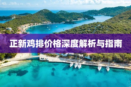 正新鸡排价格深度解析与指南