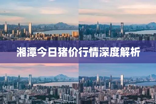 湘潭今日猪价行情深度解析
