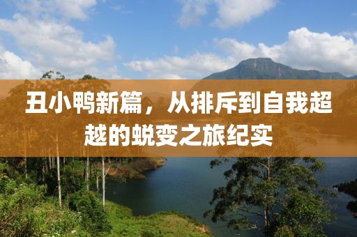 丑小鸭新篇，从排斥到自我超越的蜕变之旅纪实