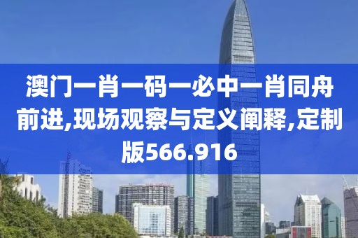 澳门一肖一码一必中一肖同舟前进,现场观察与定义阐释,定制版566.916
