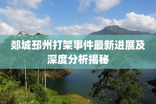 郯城邳州打架事件最新进展及深度分析揭秘